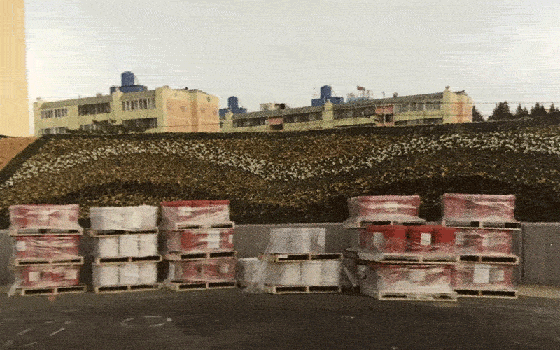 4.gif
